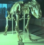 Die Bärenhöhle von Winden